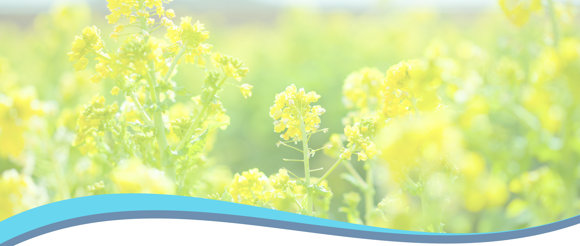 紫波郡紫波町日詰東裏、日詰停留所、循環器内科、一般内科